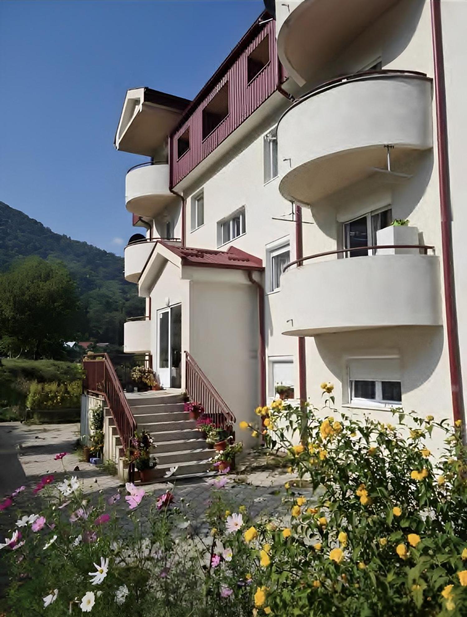 Elena Apartment Plužine Exterior photo