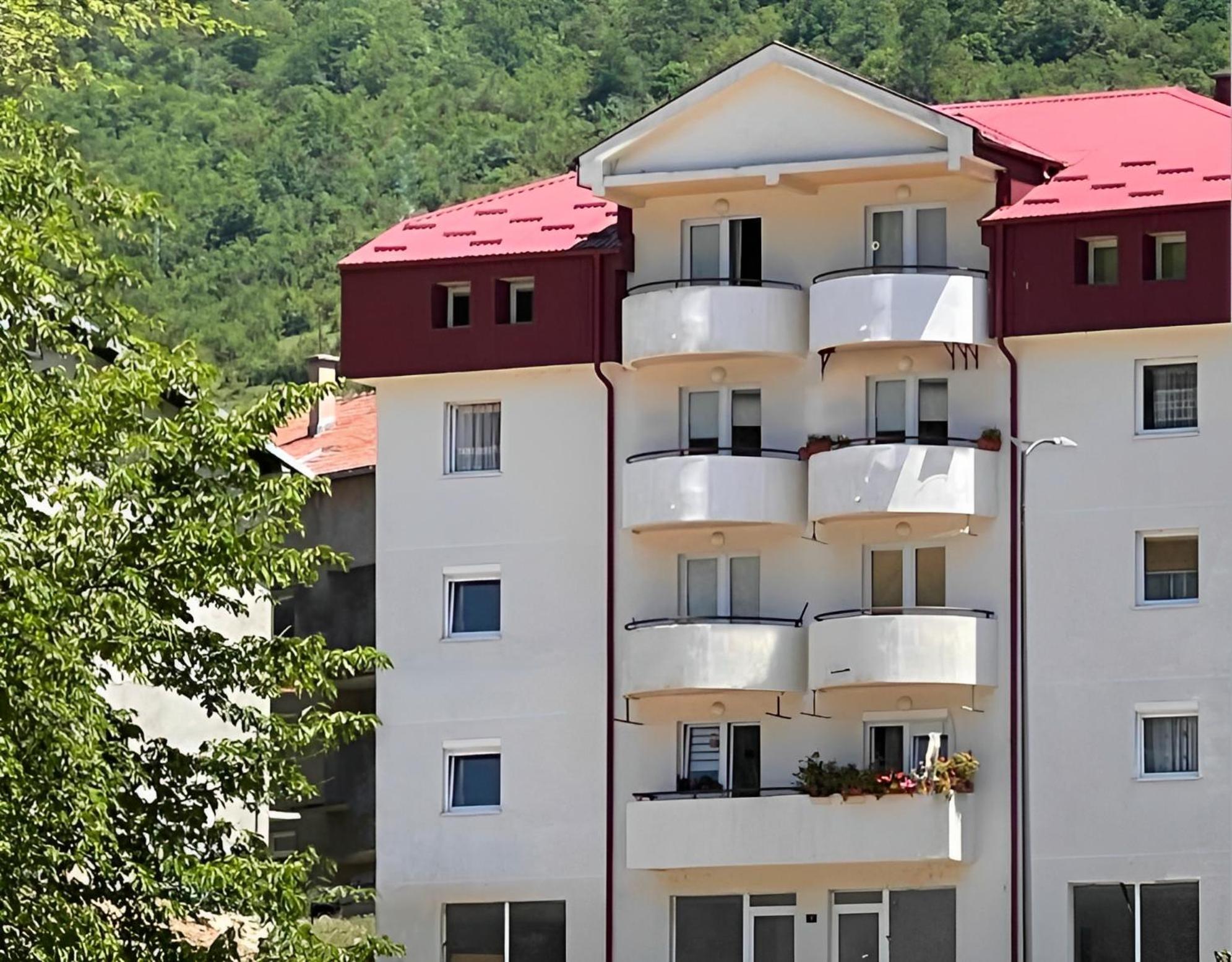 Elena Apartment Plužine Exterior photo